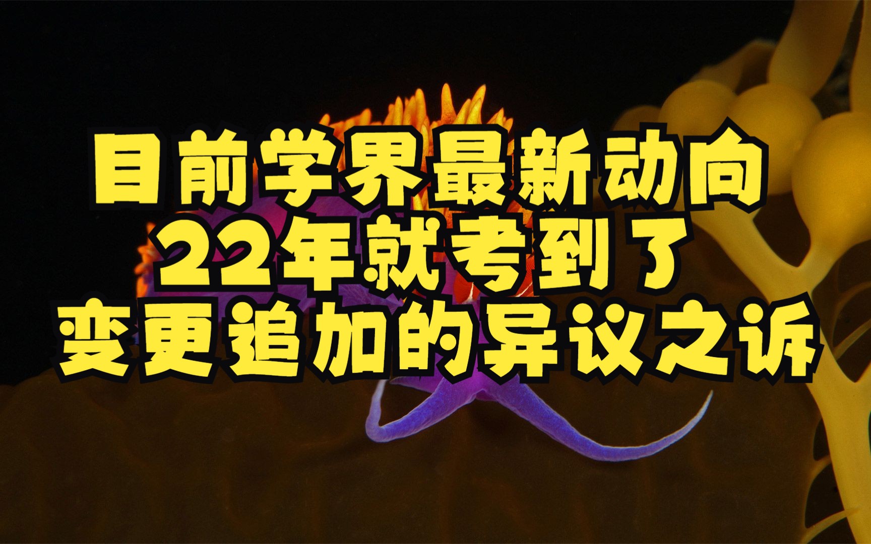 目前学界最新动向,去年就考到了:变更追加的异议之诉哔哩哔哩bilibili