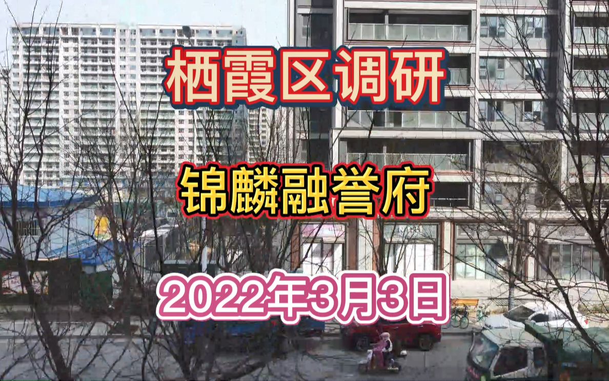 栖霞区调研2022年3月最新!【锦麟融誉府】项目最新进度报告!哔哩哔哩bilibili