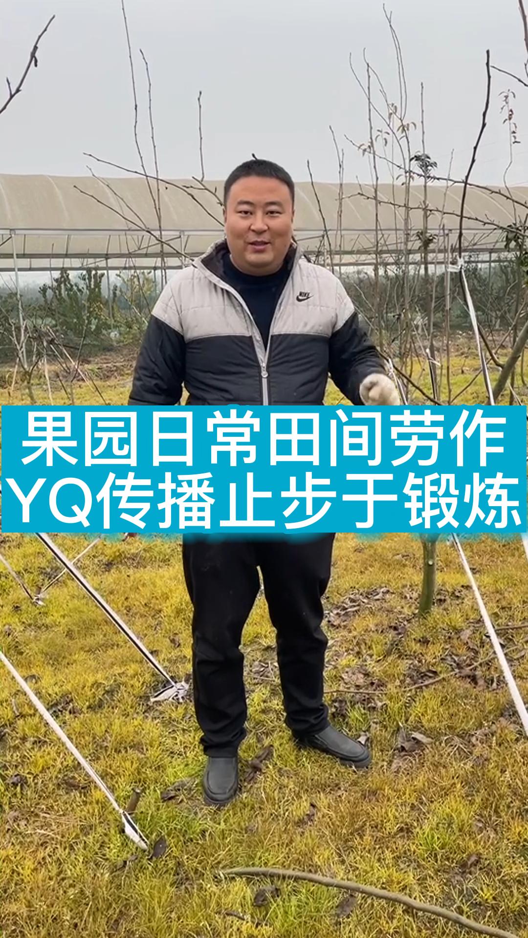 果园日常田间劳作YQ传播止步于锻炼哔哩哔哩bilibili