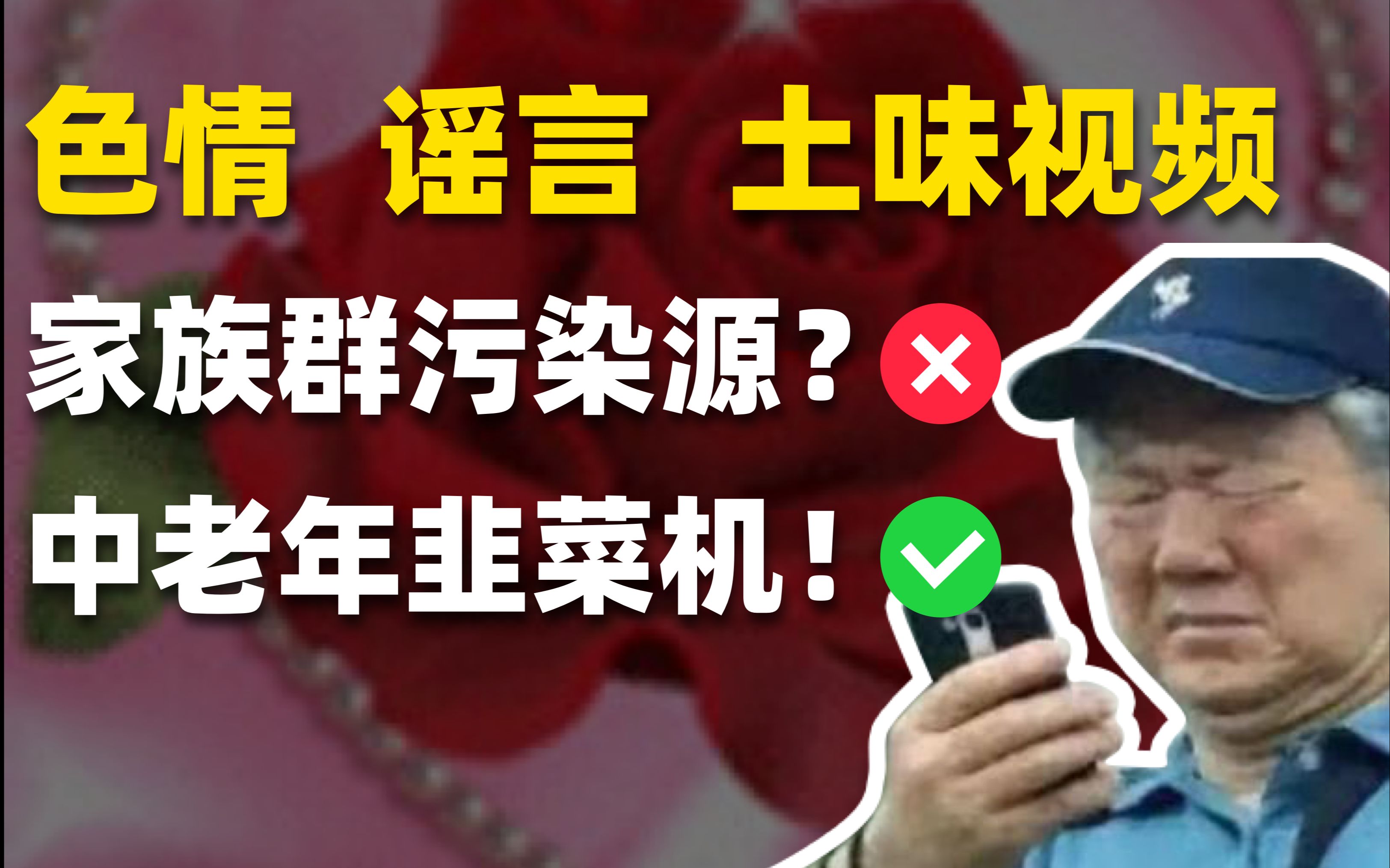 【揭秘】家族群里的色情视频竟是中老年韭菜收割机??哔哩哔哩bilibili