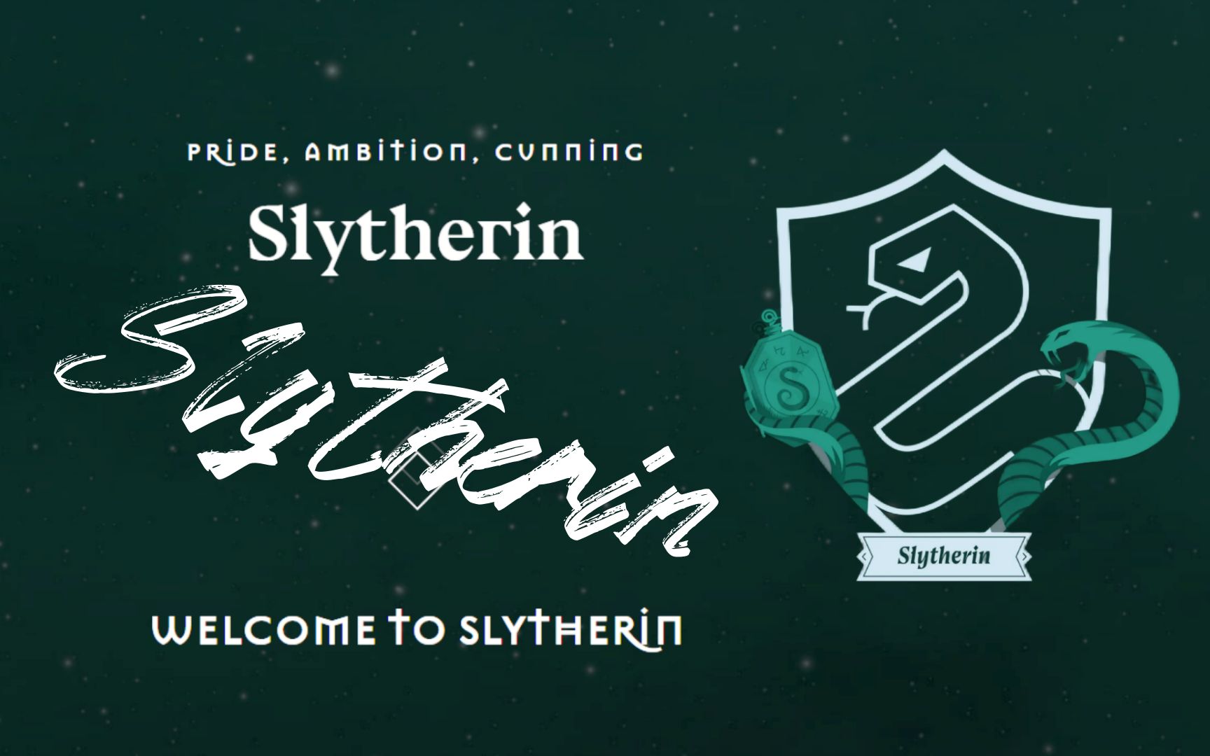 【斯莱特林 | Slytherin】“What are you willing to lose?”哔哩哔哩bilibili