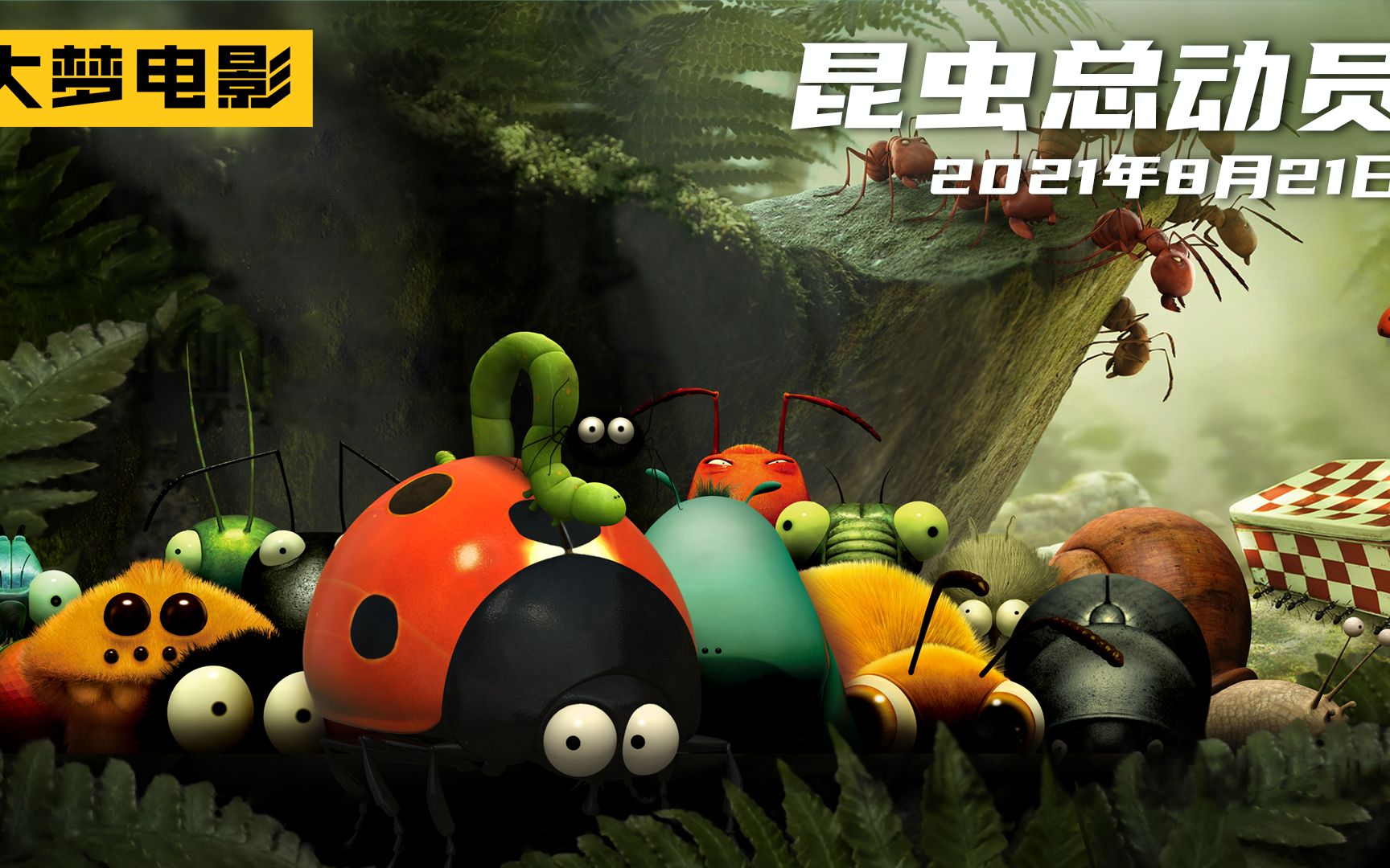 场面一度十分失控!黑红蚂蚁大战,火箭炮仗全部用上,太先进了!