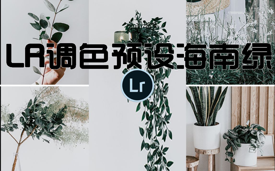 【Light Room】【LR】自创预设海南绿适合各种绿色图片 高级绿青春文艺范哔哩哔哩bilibili