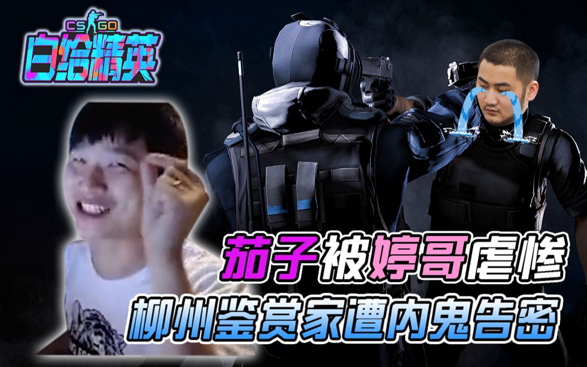 csgo白给精英23茄子被婷哥虐惨柳州鉴赏家遭内鬼告密