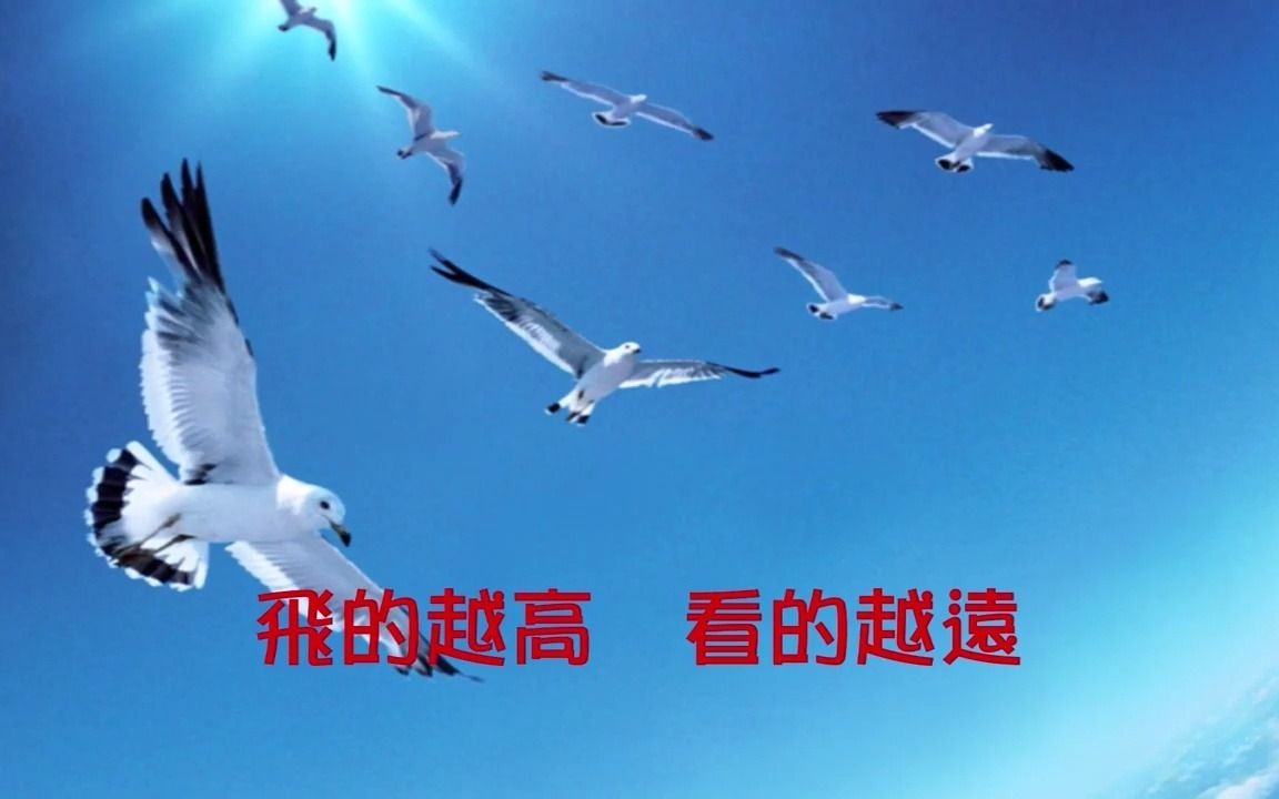 刘家昌【海鸥】(歌词MV)(1080p)(作曲:刘家昌)(填词:孙仪)哔哩哔哩bilibili