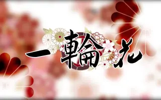 一輪花 搜索结果 哔哩哔哩弹幕视频网 つロ乾杯 Bilibili