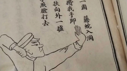 品茶ⷨﴤ𙦠民国石印本 《忠义拳图——洪洞通背拳 樊一魁》(残本)#爱喝茶的关注我 #武术 #通背拳 #通臂拳 #忠义拳图哔哩哔哩bilibili