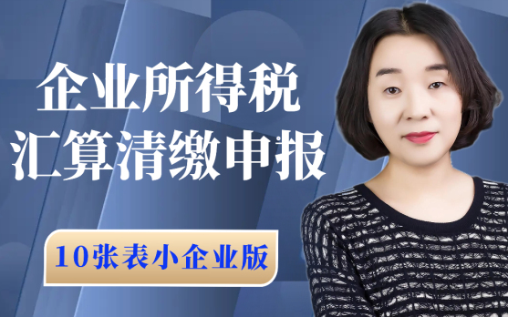 会计实操:2025年企业所得税汇算清缴(小企业版,10张表)企业年报哔哩哔哩bilibili