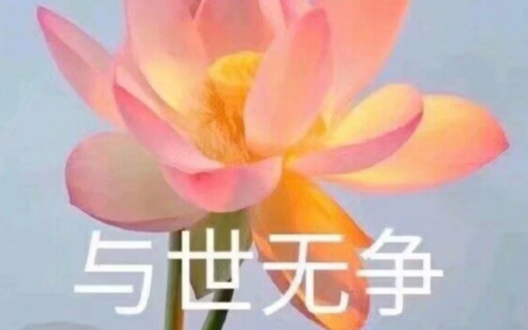 [图]【花开富贵】加入直播间丨中老年头像合集