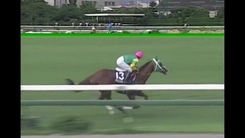 タイムセール！】 平成10年7月12日第39回宝塚記念 優勝馬