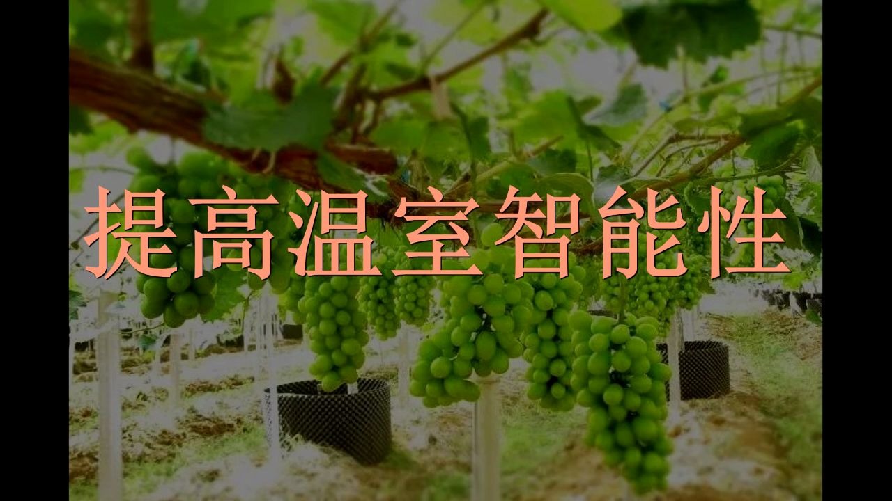 温室种植阳光玫瑰葡萄配套设施哔哩哔哩bilibili