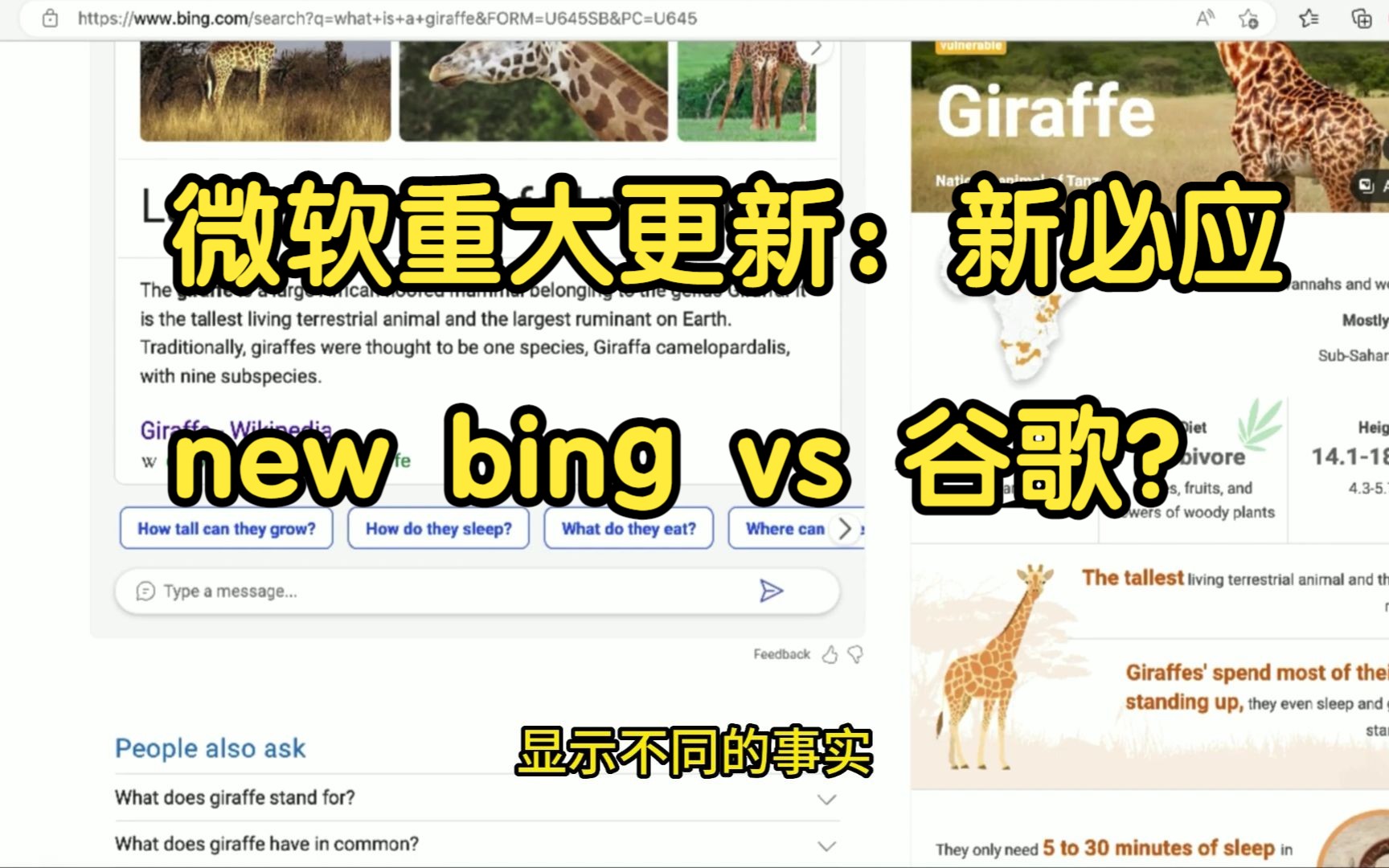 【全中文】5月4日微软新发布的new bing不再限制用户登录,对谷歌有影响吗?【Microsoft、新必应、必应、ai、gpt4、chat GPT 3.5】哔哩哔哩bilibili