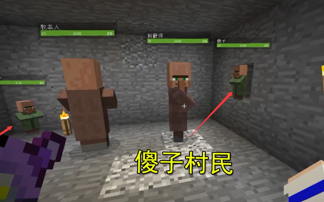 我的世界联机172总共6个村民有三个都是二傻子基因有问题