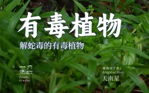 Tải video: 蛇要出洞了，可以解蛇毒的有毒植物们花都开好了，他们长的还挺像蛇的……最后一个最像！