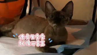 德文生宝宝就像开盲盒 不知道这次能开出什么