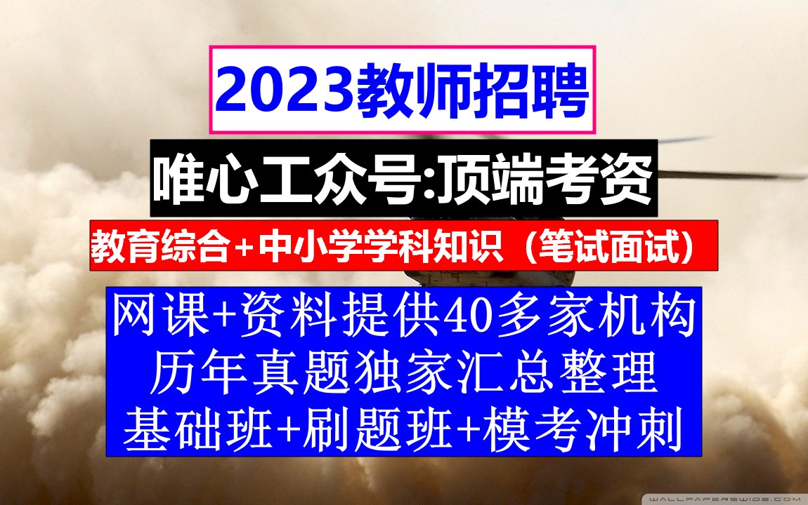 全国教师招聘公共基础知识,教师编制招聘考试,教师培训计划哔哩哔哩bilibili