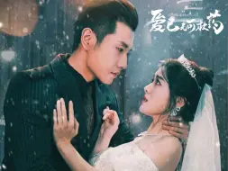 Download Video: 《爱已无可救药》第19集