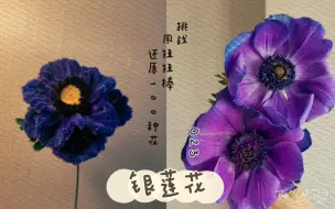 Download Video: 万物皆可扭扭棒‖023 银莲花