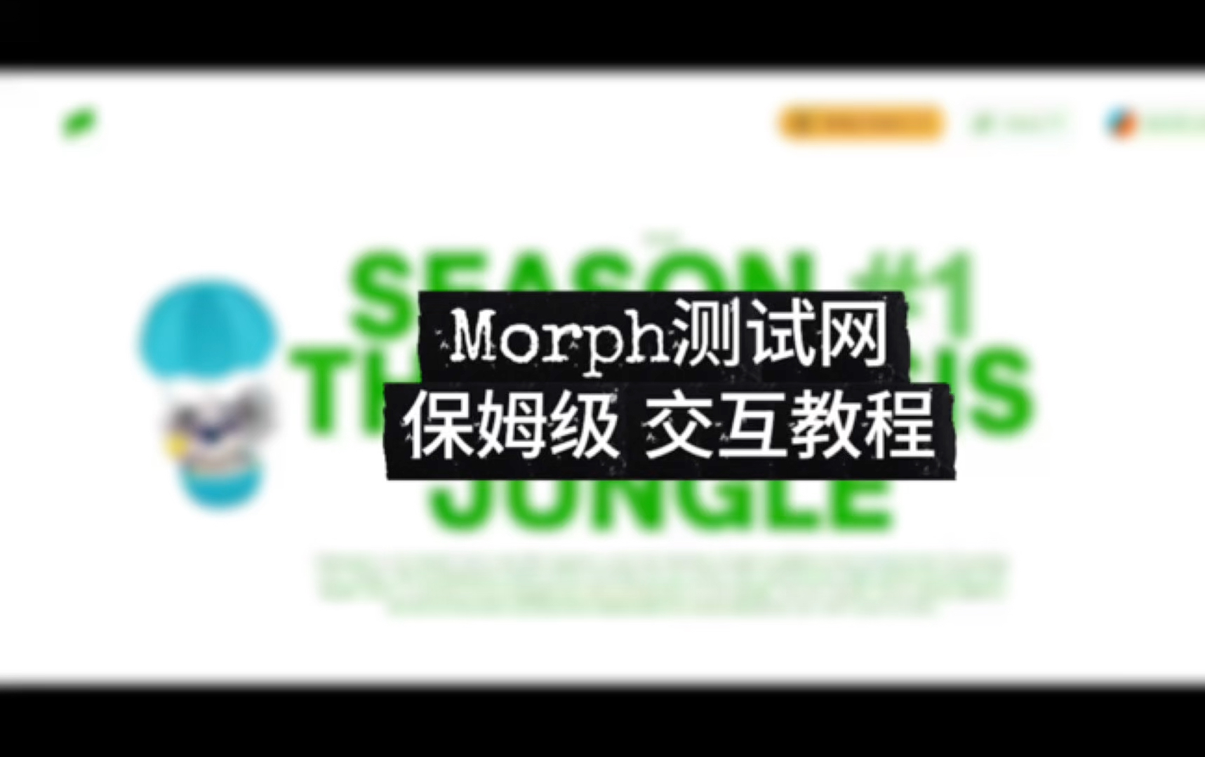 Morph测试网0撸保姆级交互教程哔哩哔哩bilibili