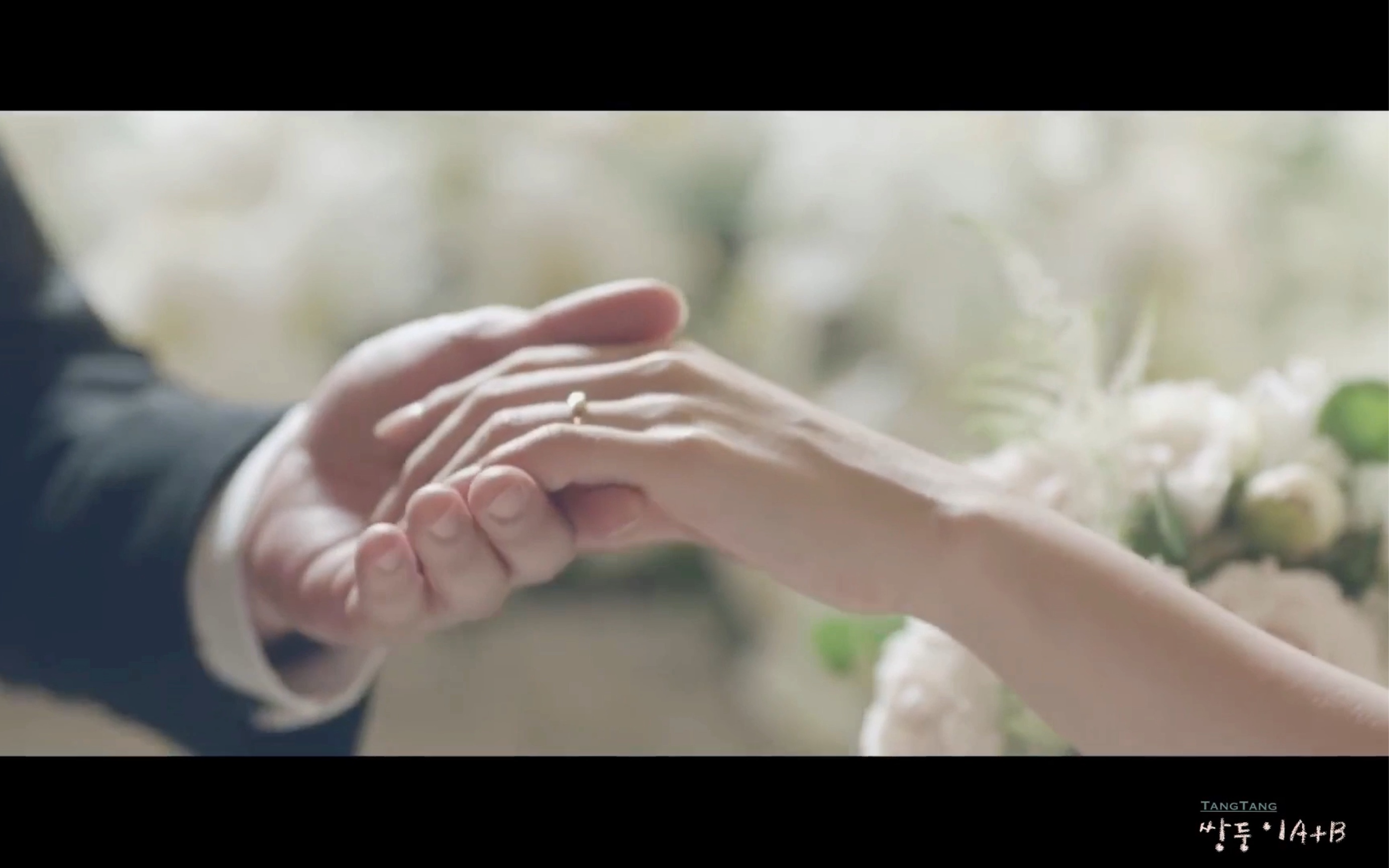 魄魄——你的婚礼_哔哩哔哩 (゜-゜)つロ 干杯~-bilibili