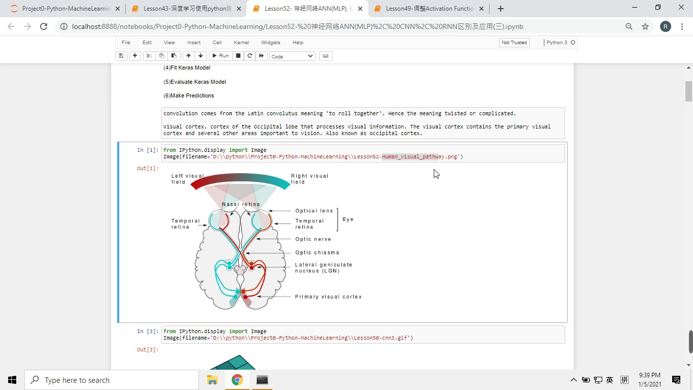 Python零基础学习52课神经网络ANN(MLP), CNN, RNN区别及应用(三)哔哩哔哩bilibili