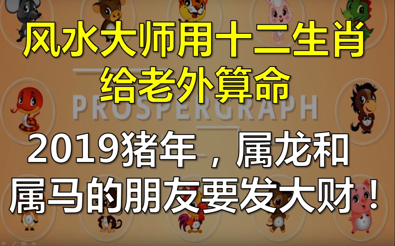 风水大师用中国十二生肖给老外算命,2019年猪年,属龙和马的朋友要发大财!!!(YouTube/油管/油管搬运/新年/过年)哔哩哔哩bilibili