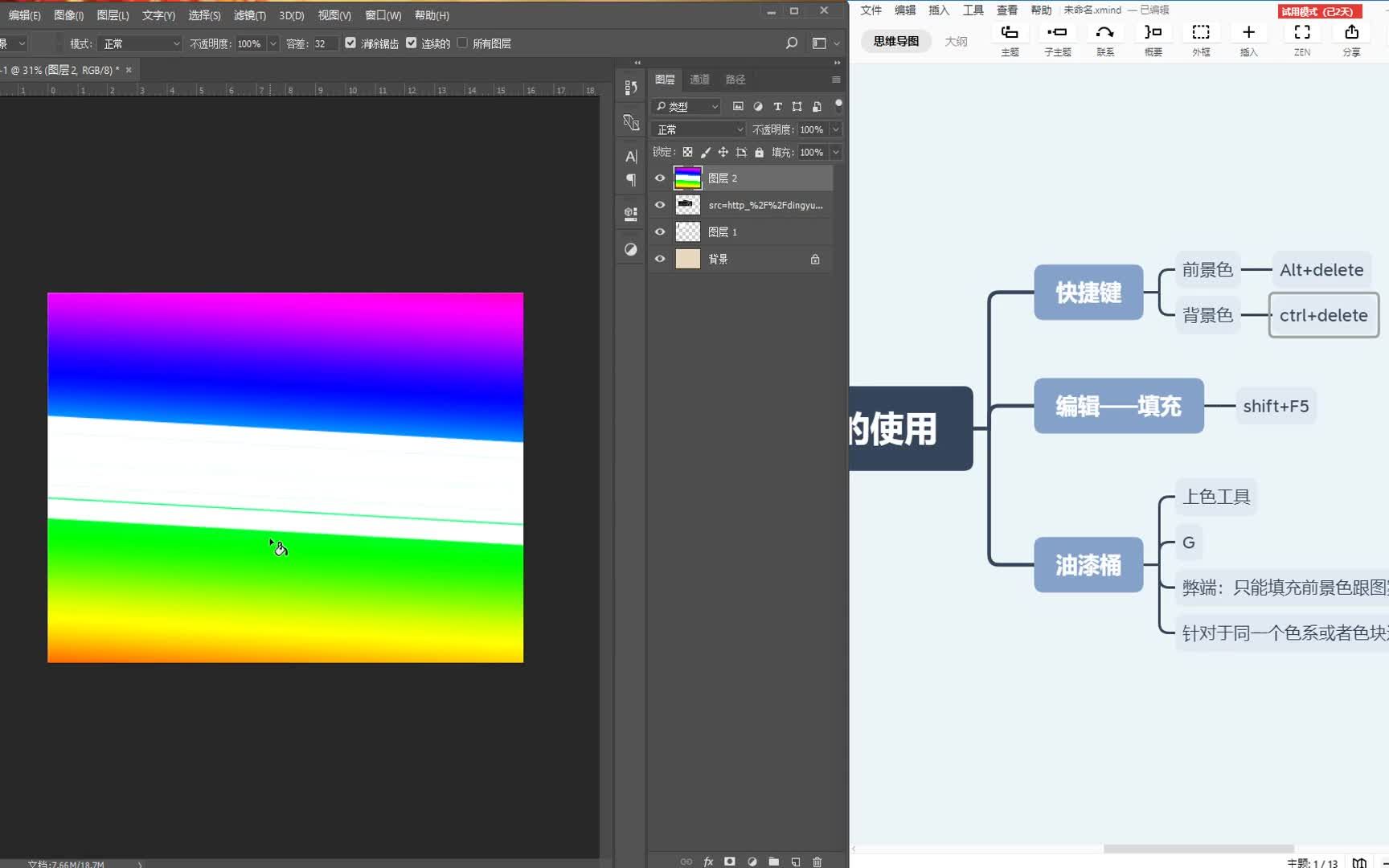 【零基础PS入门】PS常用的图像格式、图片、动画、源文件 上色与油漆桶使用哔哩哔哩bilibili