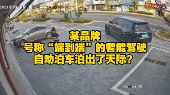 下载视频: 炫技“无人泊车”，结局太让人意外了