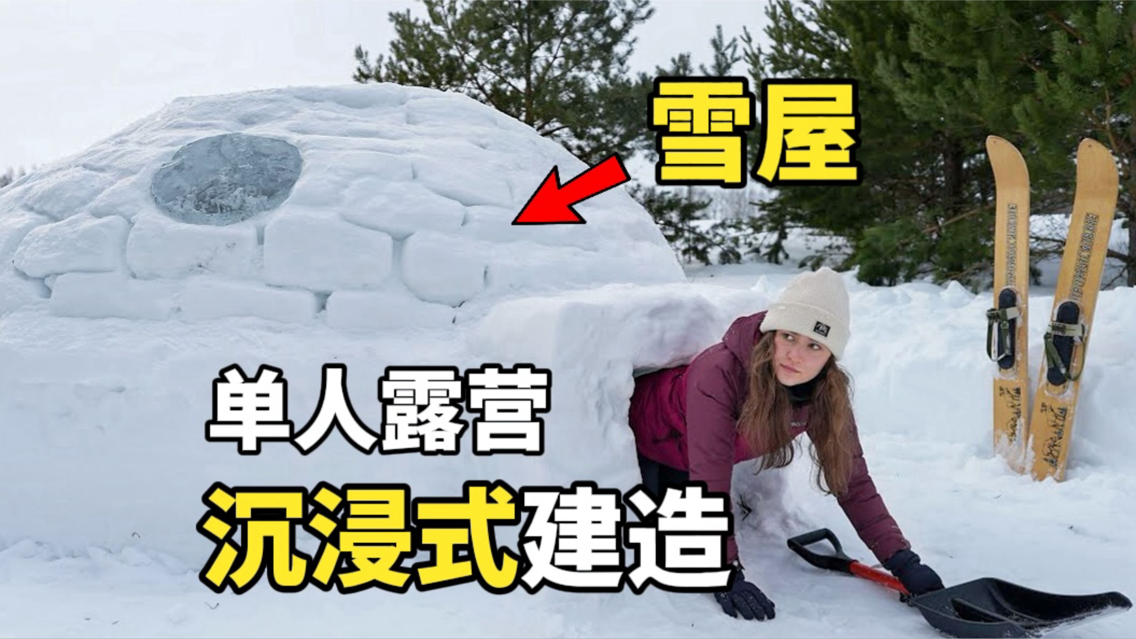 阳光房房顶下雪咋除雪图片