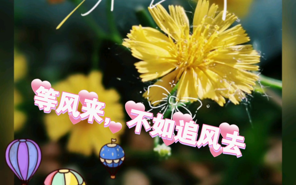 等风来,不如追风去