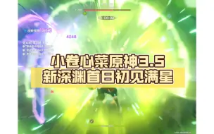 Descargar video: 小卷心菜原神3.5新深渊首日初见满星，胡桃双水＋永冻＋提八