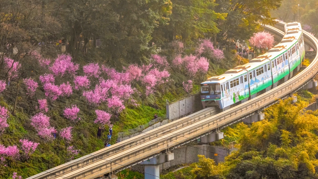 [图]我拍到开往春天的列车。