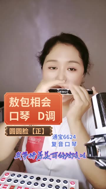 《敖包相会》d调 通宝复音口琴6624
