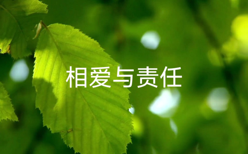 相爱与责任
