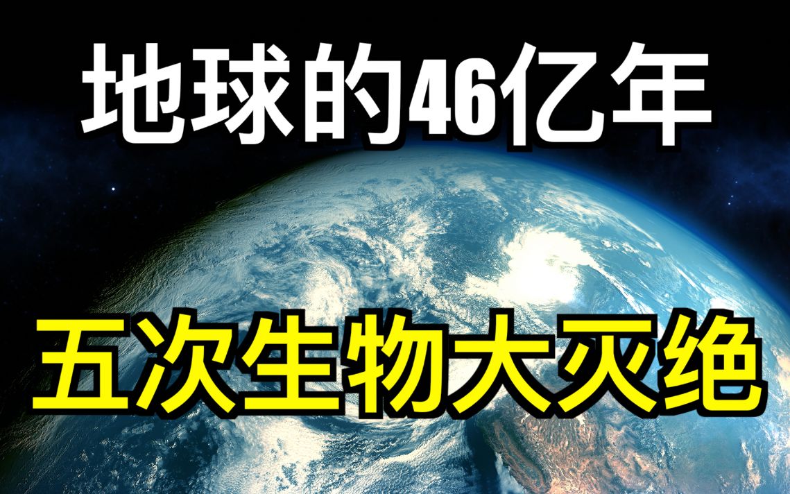 地球的历史与生命的演化|人类的命运哔哩哔哩bilibili