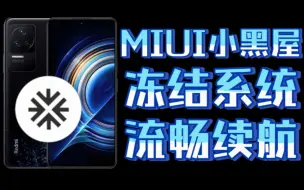 下载视频: 【小黑屋】讲解冻结，冰封系统，解放系统占用，系统减负优化。游戏提升帧数