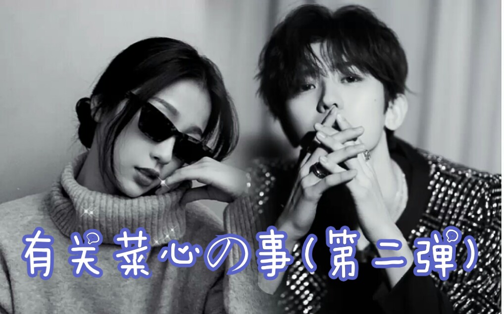 【菜心cp】之有关菜心の事(第二弹)!坤音虞乐!圈地自萌!不喜勿扰!