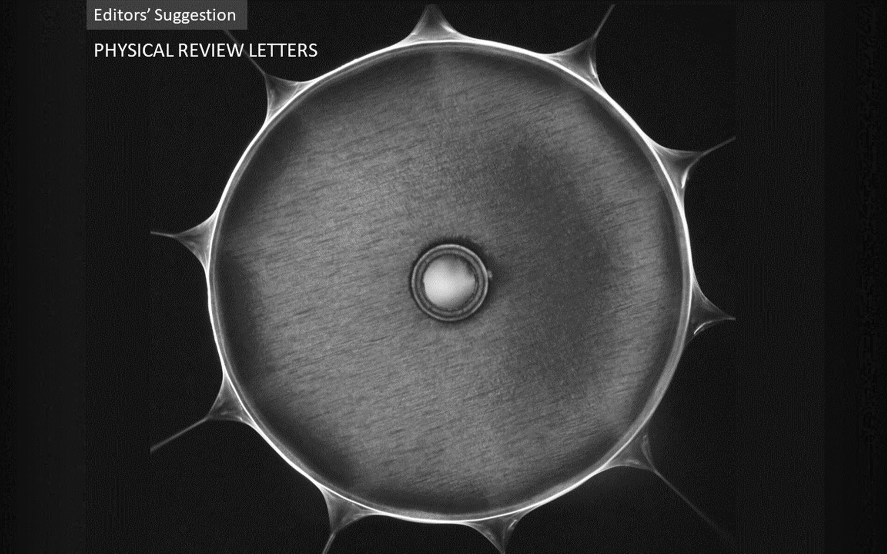 【prl】千手泰勒锥--圆盘静电喷雾