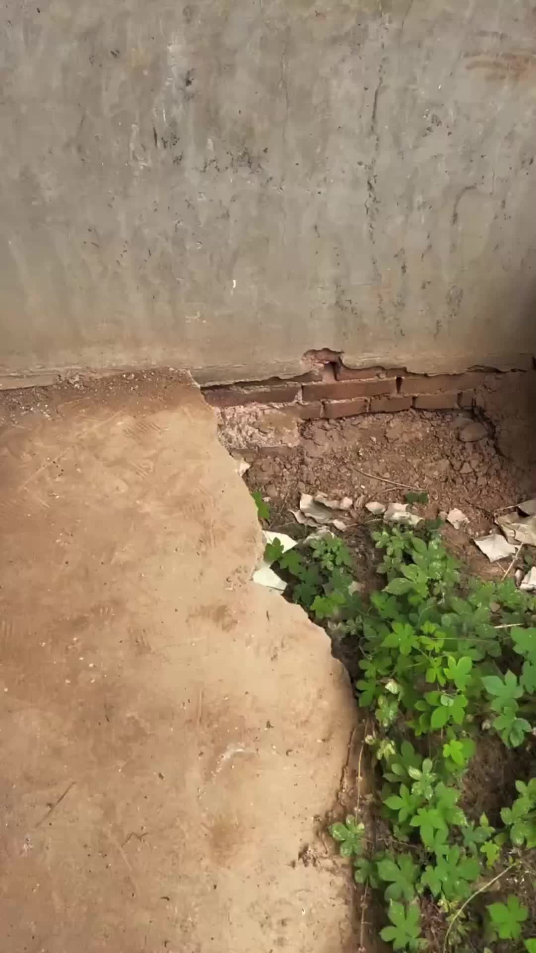 带我来这种鸟不拉屎的地方感嘛?