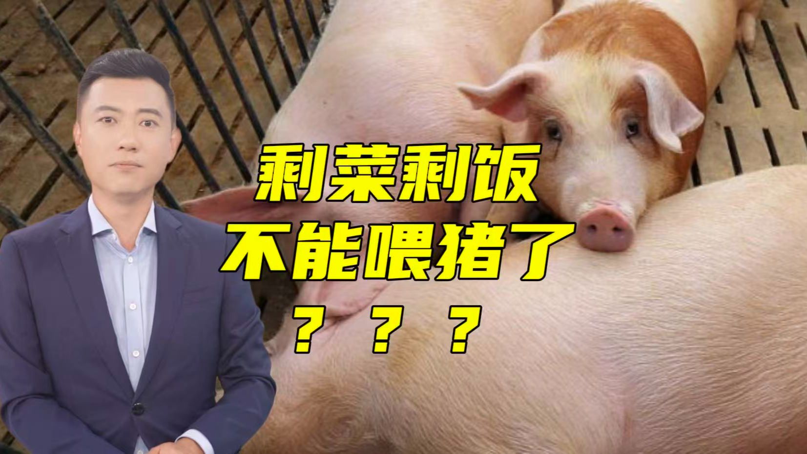 剩菜剩饭以后不能喂猪了？别慌，真相是这样的！【主播说三农】
