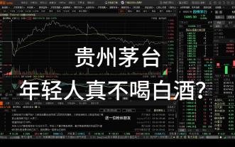 贵州茅台-A股股王何时重回巅峰
