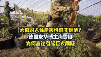 Video herunterladen: 【老贾评】德国博主发微博对比大麻烟酒危害性，为何引起争议？