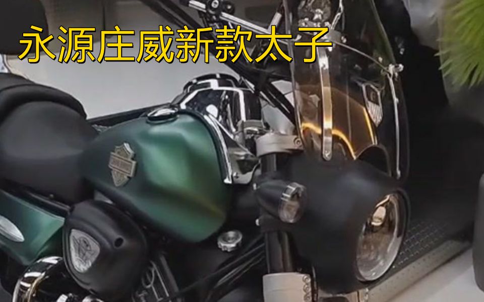 永源集团,庄威新款太子,排量500CC,复古太子哔哩哔哩bilibili