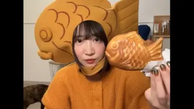 たい焼き-哔哩哔哩_Bilibili