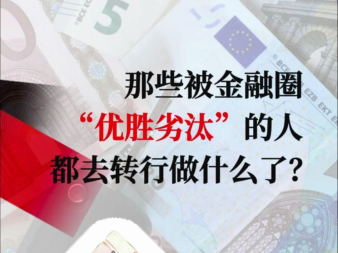 那些被金融圈"优胜劣汰"的人,都去转行做什么了