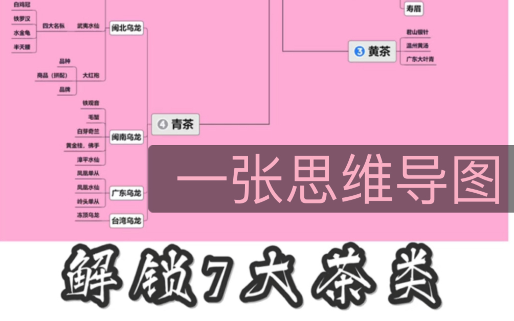 一张图解锁七大茶类基础知识|绿茶|白茶|黄茶|乌龙茶|红茶|黑茶|再加工茶哔哩哔哩bilibili