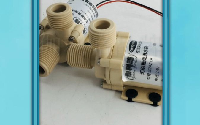 新能源汽车电子蓄电池小自吸小直流新型节能小自吸水泵 湘