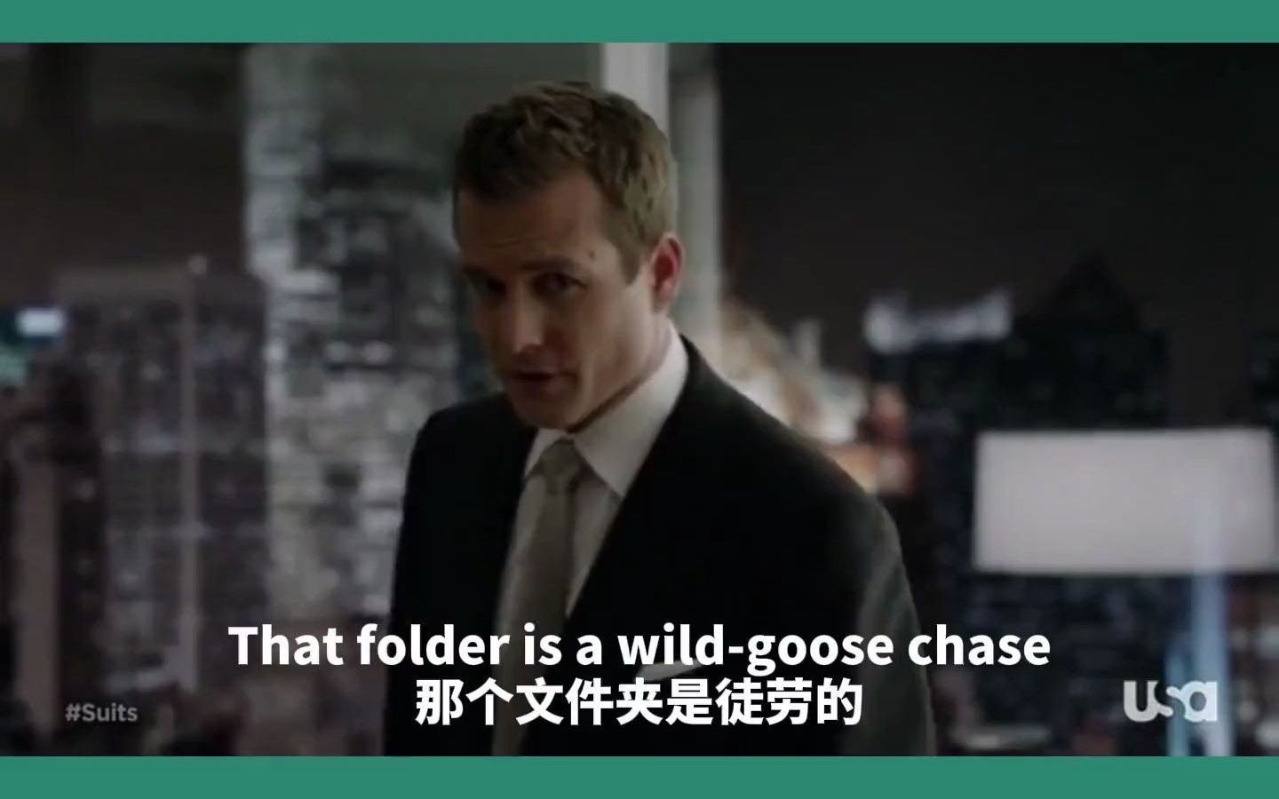 wild goose chase 白费力气用英语怎么说?英语 口语 每日英语 我要上热门哔哩哔哩bilibili