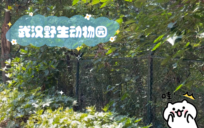 武汉野生动物园