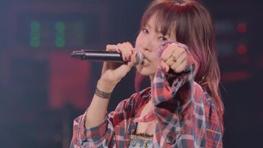 Gifu Villager】LiSA「LiVE is Smile Always～364+JOKER～」【BD